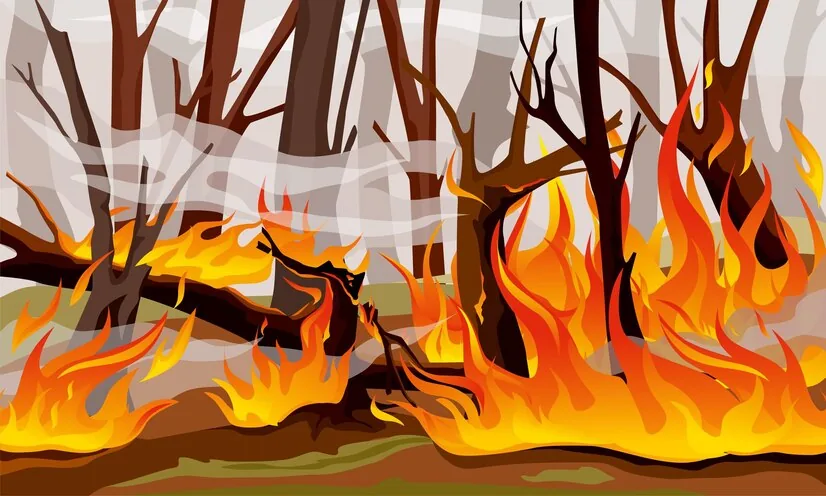 Prevencion de incendios